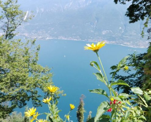 FSCG - CGXXIV / I "Colori di Laura Baraggia" anche al Santuario Montecastello, Esercizi Spirituali.