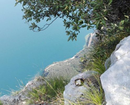 FSCG - CGXXIV / Da qui, l'immensità.