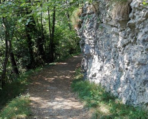 FSCG - CGXXIV / Un percorso. Il cammino.